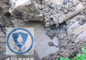 苍南县水管漏水检测公司5